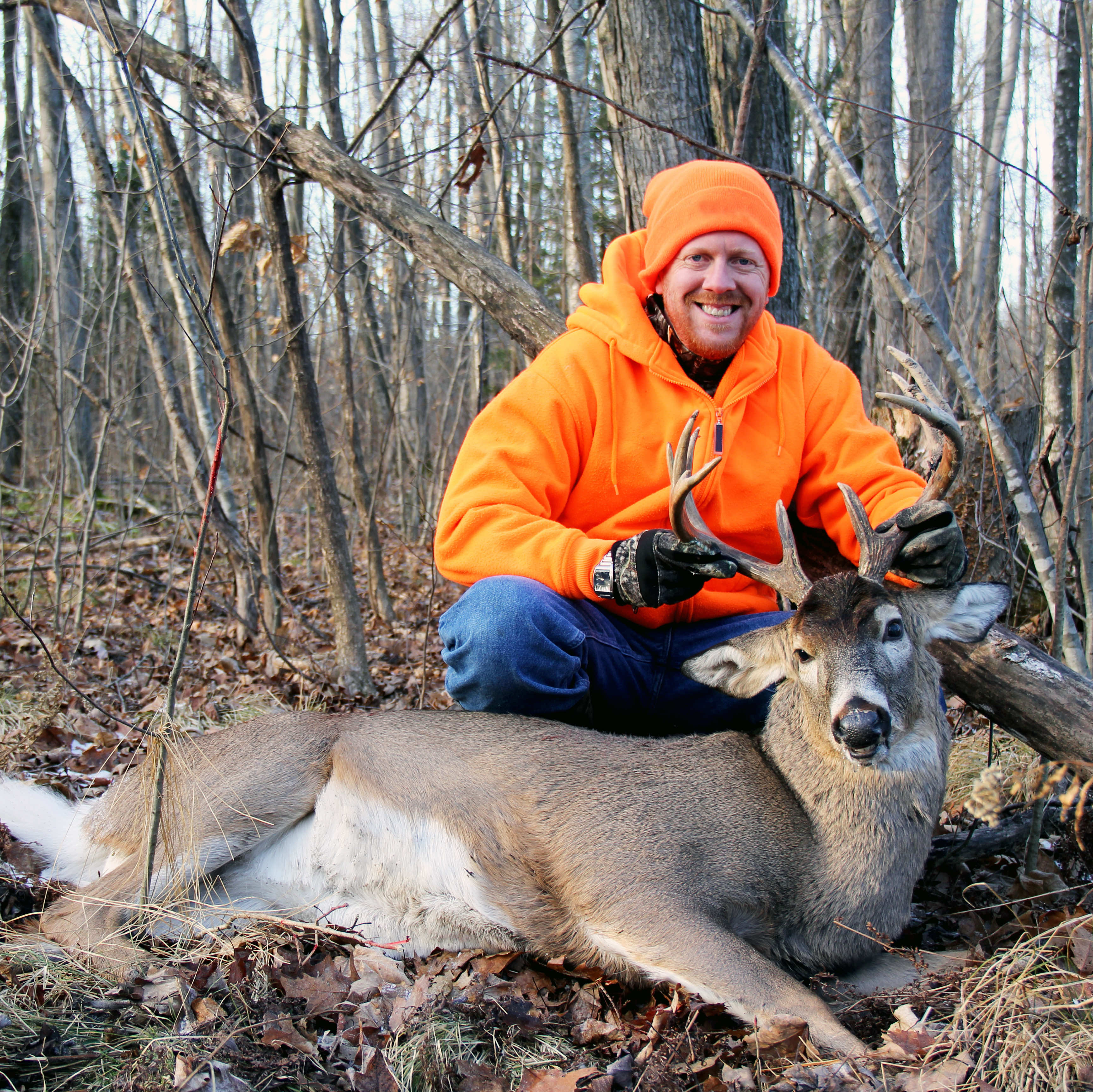Hunter harvests a deer